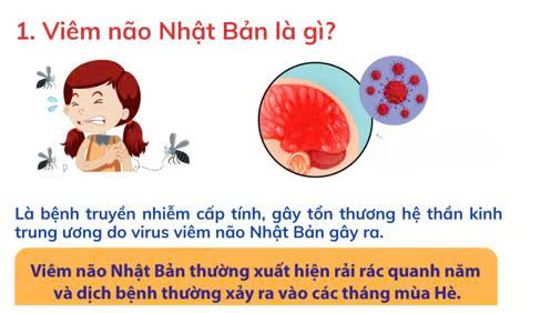 Anh dai dien