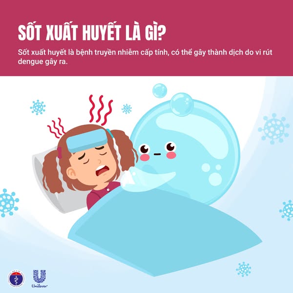Bệnh sốt xuất huyết: Những điều cần biết