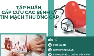 Tập huấn “cấp cứu các bệnh lý tim mạch thường gặp”