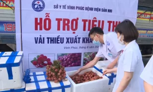 Chung tay tiêu thụ vải bắc giang