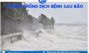 Phòng chống dịch bệnh sau bão