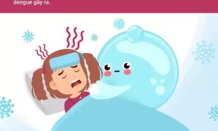 Bệnh sốt xuất huyết: Những điều cần biết