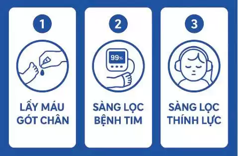 Các nội dung sàng lọc sơ sinh