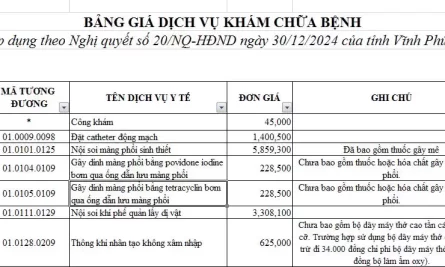 banggiadichvukhamchuabenhtheoNghiQuyetso20cuaHoidongNhanDantinhVinhPhucngay30 12 2024