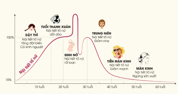 Hưởng ứng ngày mãn kinh thế giới 2025 - Chăm sóc sức khỏe trung niên 1 Thay đổi về nội tiết nữ theo độ tuổi