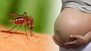 Thông điệp khuyến cáo phòng chống bệnh do vi rút Zika