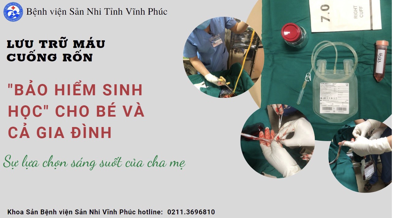 TẾ BÀO GỐC LÀ GÌ? VAI TRÒ VÀ ỨNG DỤNG CỦA TẾ BÀO GỐC TRONG Y HỌC.