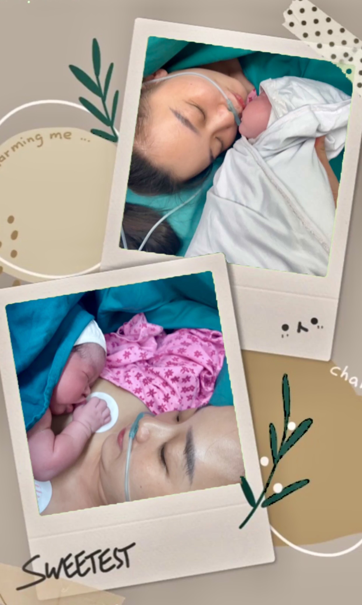 KHỞI PHÁT CHUYỂN DẠ