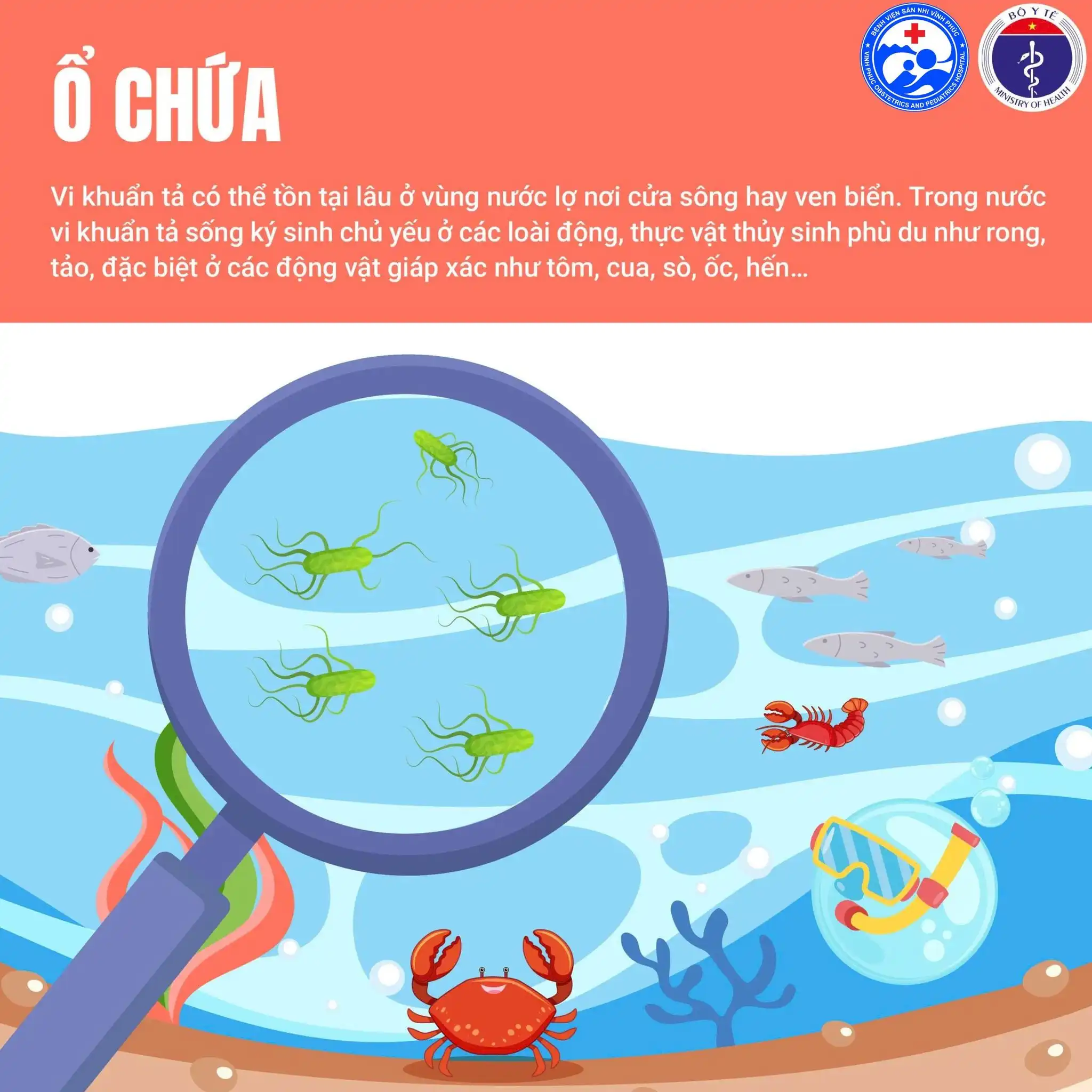 Chủ động phòng, chống bệnh tả - Bảo vệ sức khỏe cộng đồng. 1 Ổ chứa tả