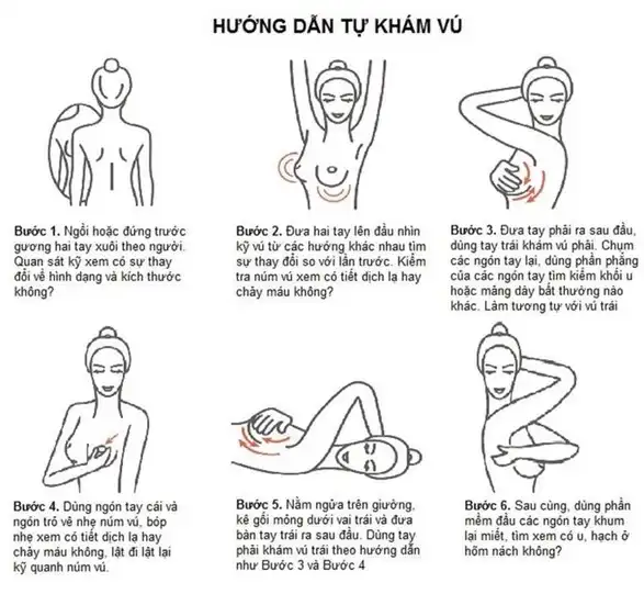 06 bước tự khám vú 