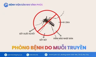 Phòng bệnh do muỗi truyền – Khuyến cáo của Bộ Y tế năm 2025