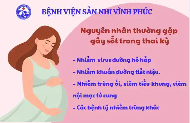 Sốt khi mang thai - Dấu hiệu không thể bỏ qua 1 Nguyên nhân thường gặp gây sốt khi mang thai