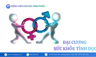 Sức khỏe tình dục là gì? Đại cương và các khái niệm cơ bản theo WHO