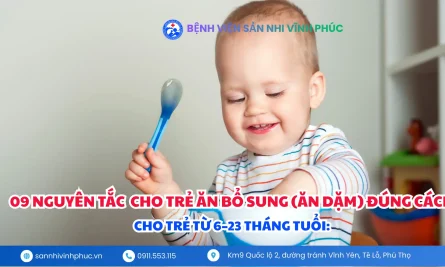 9 nguyên tắc quan trọng khi cho trẻ ăn bổ sung - Ăn dặm đúng cách - Hướng dẫn dinh dưỡng cho trẻ 6 - 23 tháng tuổi