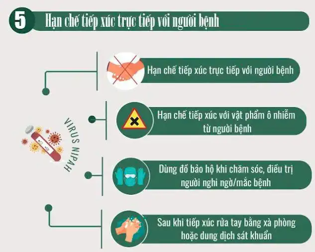 Khuyến cáo phòng chống dịch bệnh do vi rút Nipah 2026 - Bộ Y tế 6 5. Phòng lây truyền từ người sang người