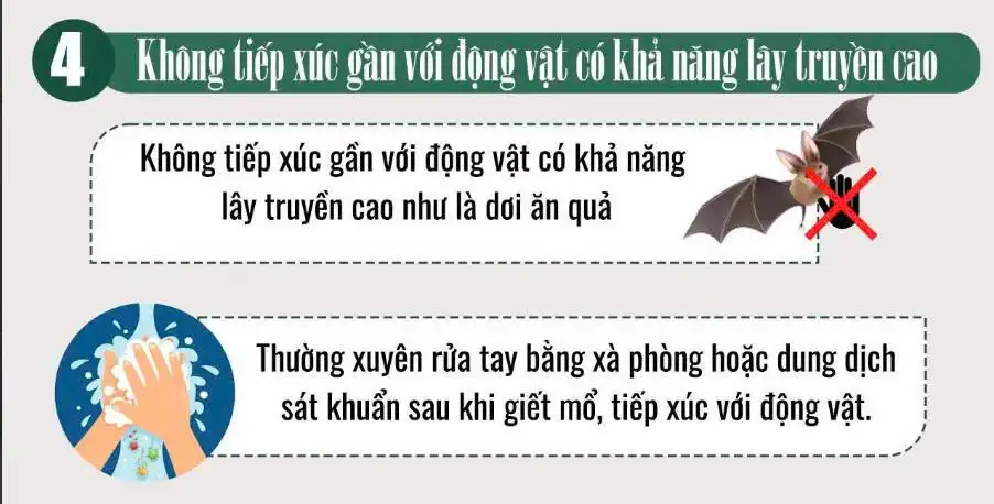 Khuyến cáo phòng chống dịch bệnh do vi rút Nipah 2026 - Bộ Y tế 5 4. Hạn chế tiếp xúc với động vật nguy cơ (Nguồn ảnh: Sức khỏe đời sống, Bộ Y tế)