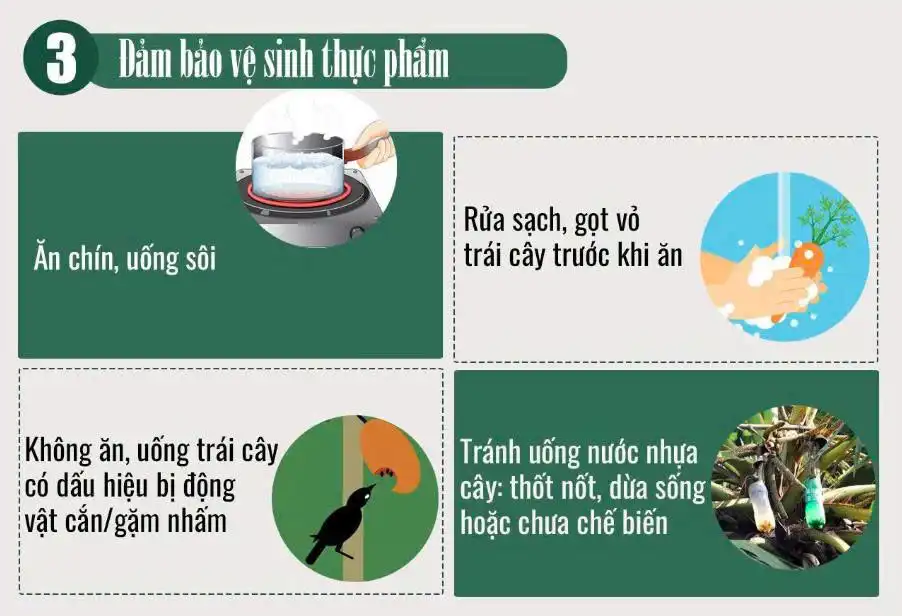 Khuyến cáo phòng chống dịch bệnh do vi rút Nipah 2026 - Bộ Y tế 4 3. Đảm bảo an toàn thực phẩm
