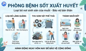 Chủ động phòng chống sốt xuất huyết Những việc nhỏ giúp bảo vệ cả gia đình