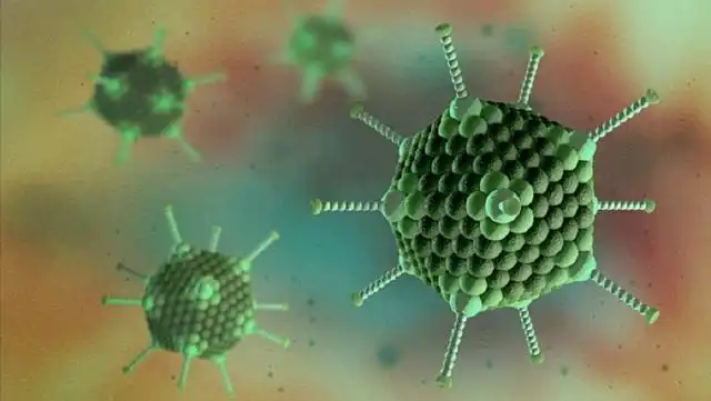 Vi rút Adenovirus gia tăng ở trẻ em: Cha mẹ cần nhận biết sớm và chủ động phòng bệnh 1 Adenovirus