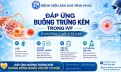 Đáp ứng buồng trứng kém trong IVF – Liệu có còn cơ hội mang thai ?