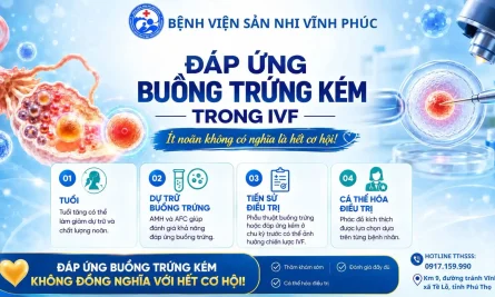 Đáp ứng buồng trứng kém trong IVF - Liệu có còn cơ hội mang thai ? 26 Đáp ứng buồng trứng kém trong IVF - Liệu có còn cơ hội mang thai ?